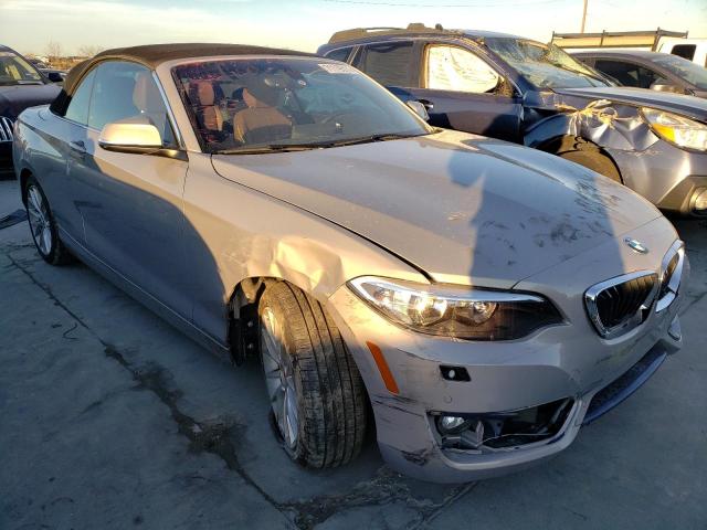 Photo 0 VIN: WBA1L9C56GV324104 - BMW 228 XI SUL 