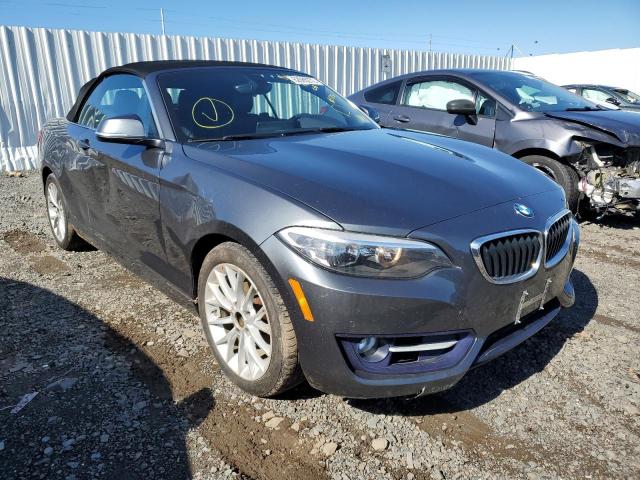 Photo 0 VIN: WBA1L9C56GV325351 - BMW 228 XI SUL 