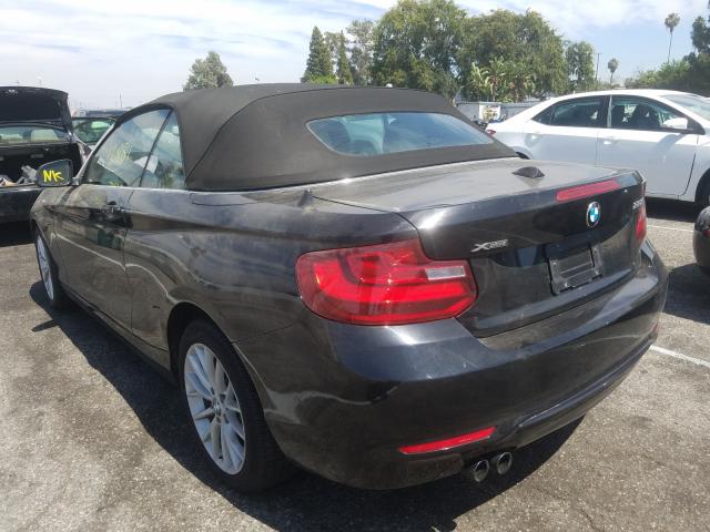 Photo 2 VIN: WBA1L9C5XGV325787 - BMW 228 XI SUL 