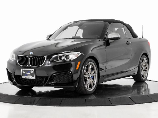 Photo 2 VIN: WBA1M1C58GV394718 - BMW 2 SERIES 