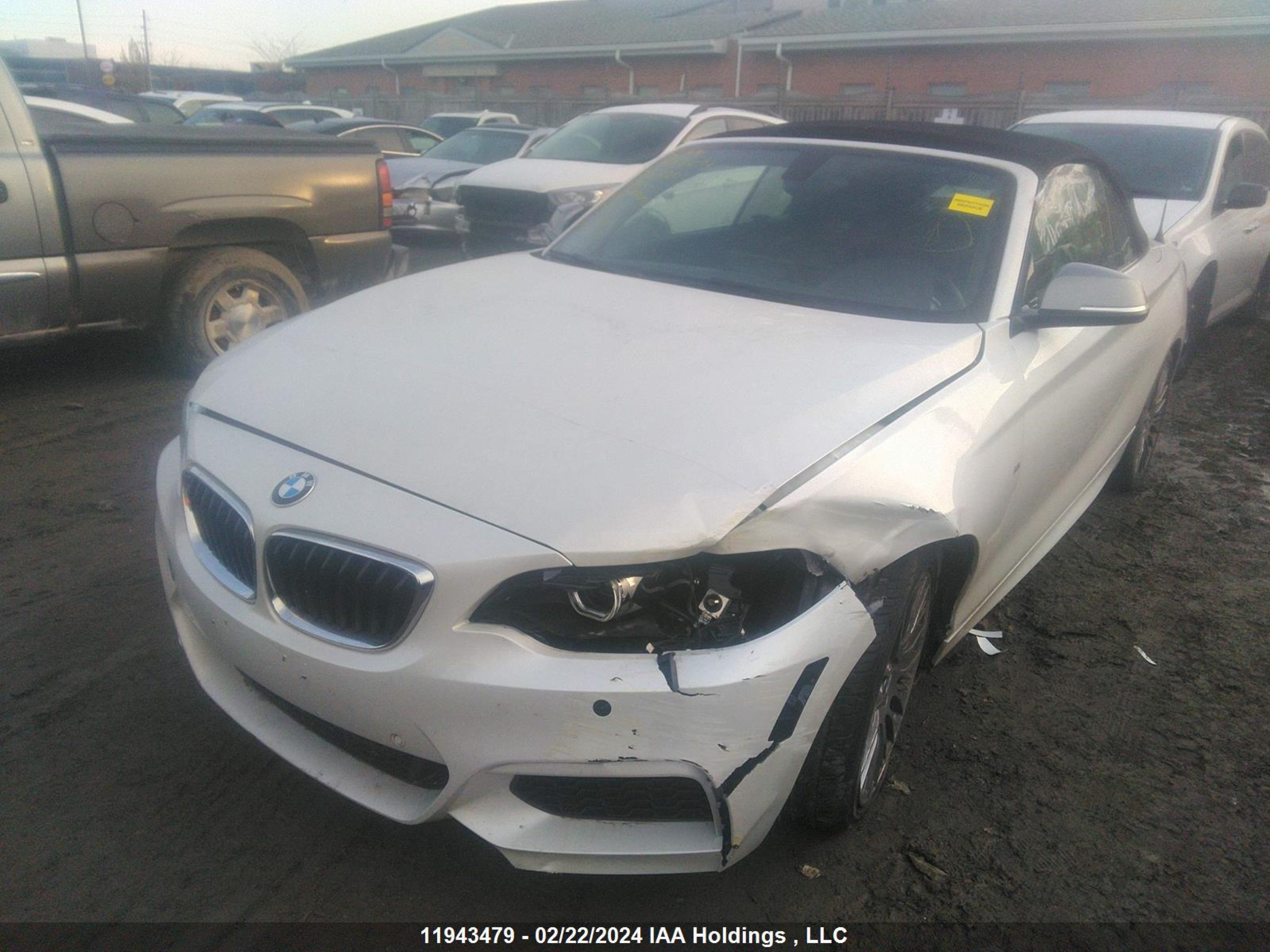 Photo 1 VIN: WBA1M5C53GV769521 - BMW 2ER 