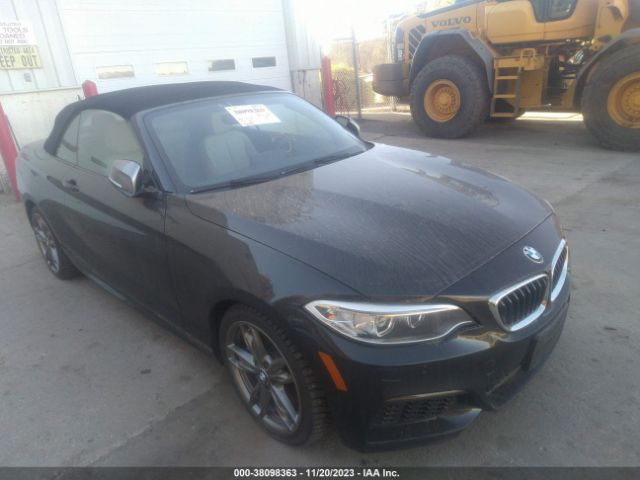 Photo 0 VIN: WBA1M5C55GV327484 - BMW 2 SERIES 