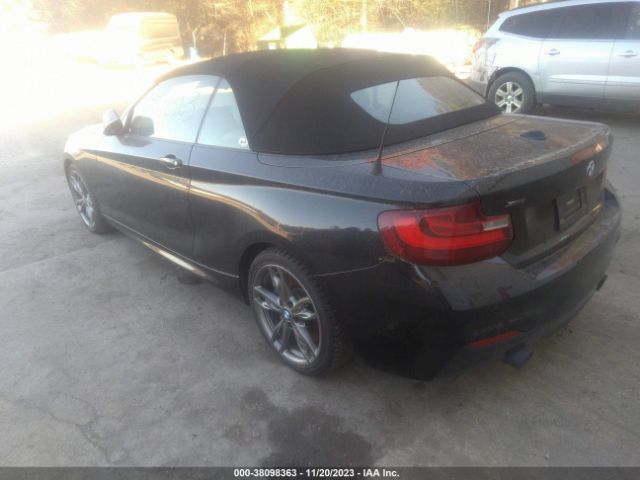 Photo 2 VIN: WBA1M5C55GV327484 - BMW 2 SERIES 