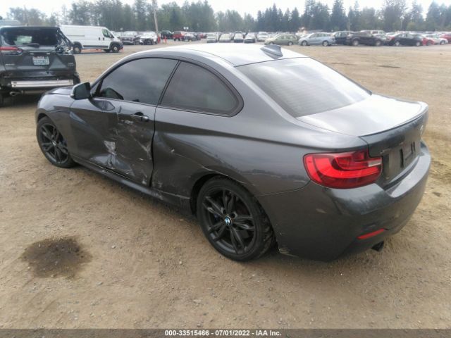 Photo 2 VIN: WBA2G3C30H7A25401 - BMW 2 SERIES 