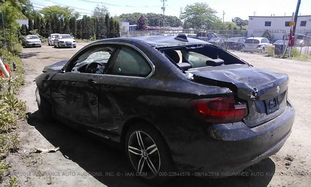 Photo 2 VIN: WBA2H9C30H7A25897 - BMW 230XI 