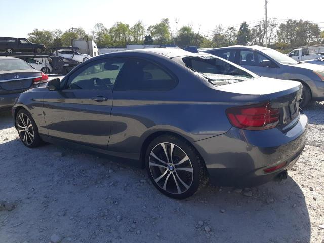 Photo 1 VIN: WBA2J1C01M7G97702 - BMW 230I 