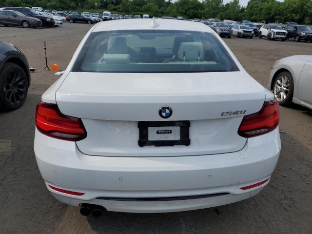 Photo 5 VIN: WBA2J1C05M7H51325 - BMW 230I 