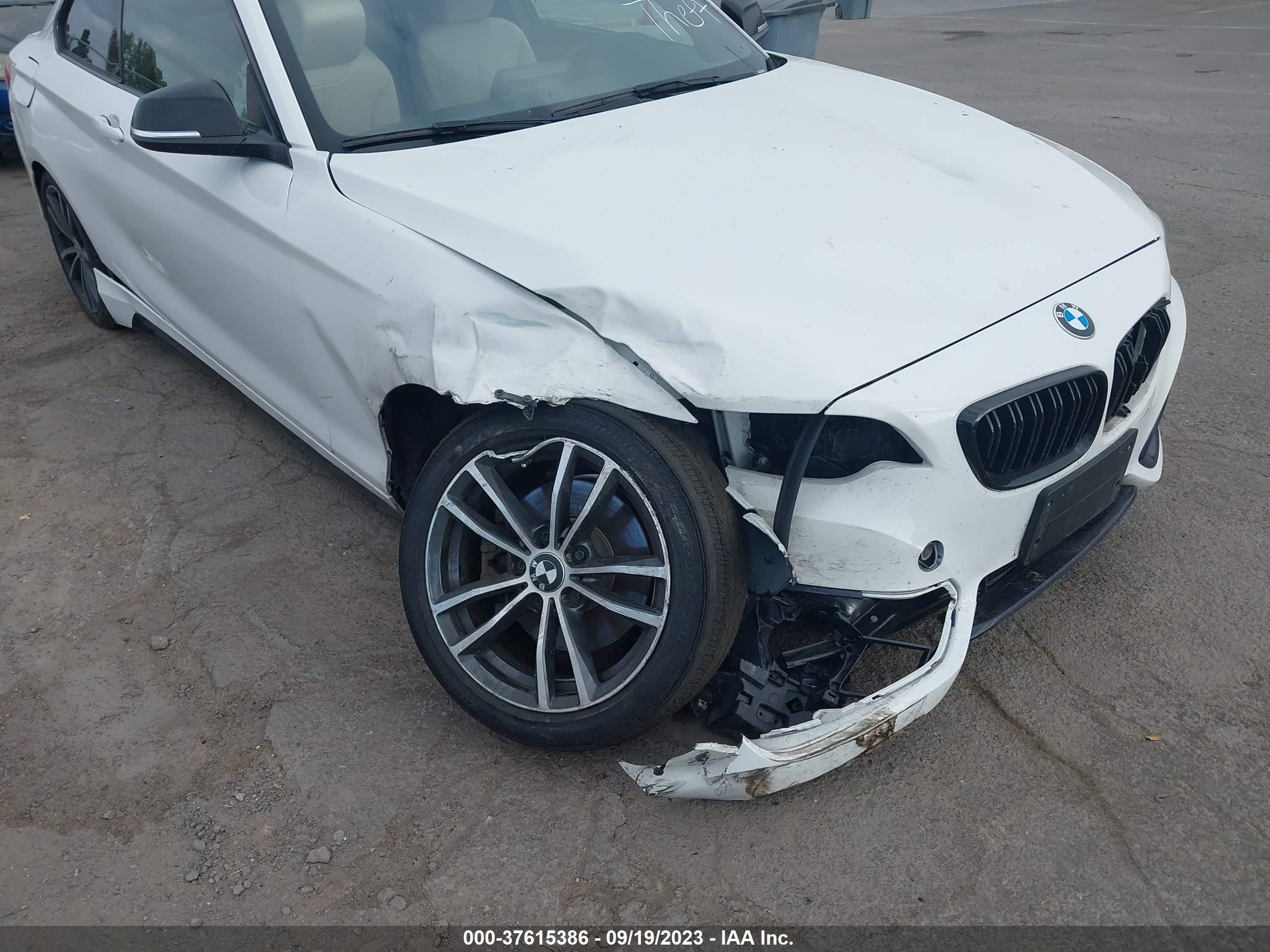 Photo 5 VIN: WBA2J1C5XJVD09417 - BMW 230I 