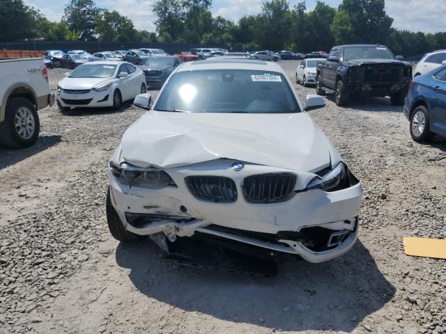 Photo 4 VIN: WBA2J3C06L7E55336 - BMW 2 SERIES 