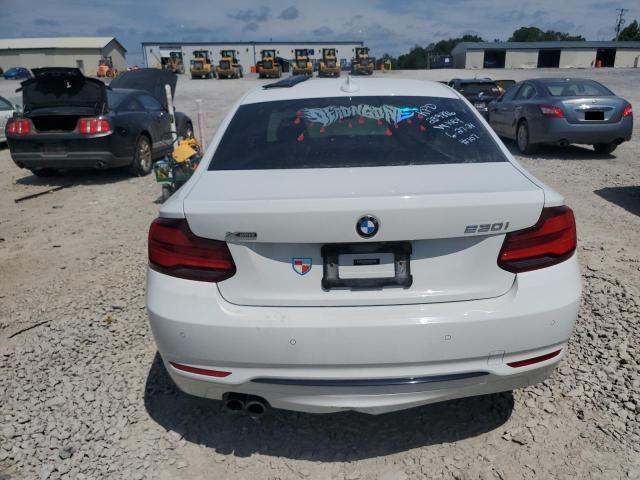 Photo 5 VIN: WBA2J3C06L7E55336 - BMW 2 SERIES 