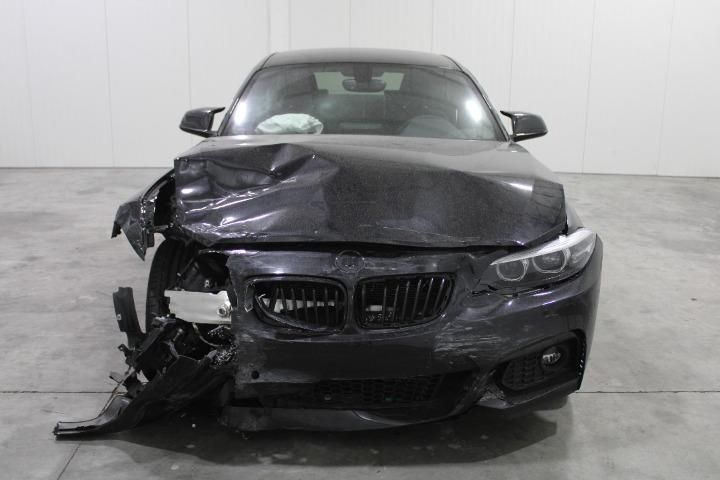 Photo 5 VIN: WBA2J910607G85993 - BMW 2 SERIES COUPE 