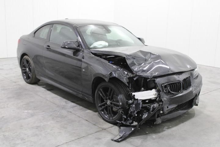 Photo 2 VIN: WBA2J910607G85993 - BMW 2 SERIES COUPE 