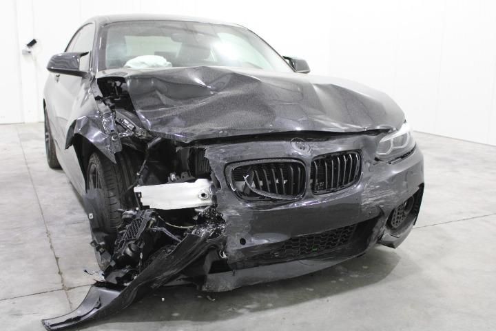 Photo 7 VIN: WBA2J910607G85993 - BMW 2 SERIES COUPE 