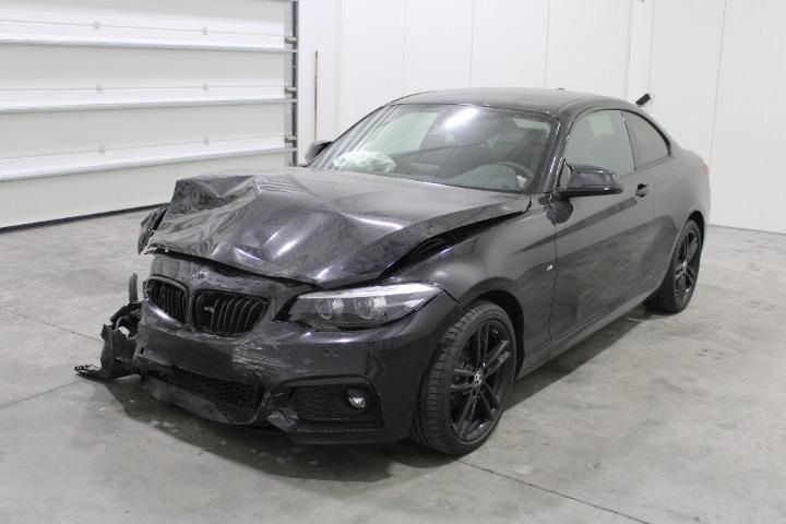 Photo 1 VIN: WBA2J910607G85993 - BMW 2 SERIES COUPE 