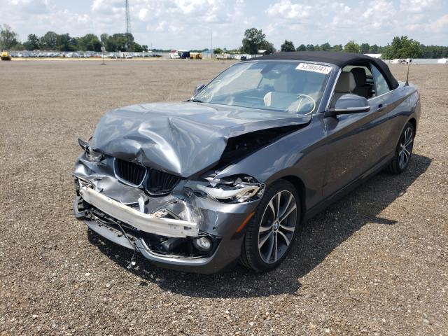 Photo 1 VIN: WBA2K9C31H7A26316 - BMW 230I 