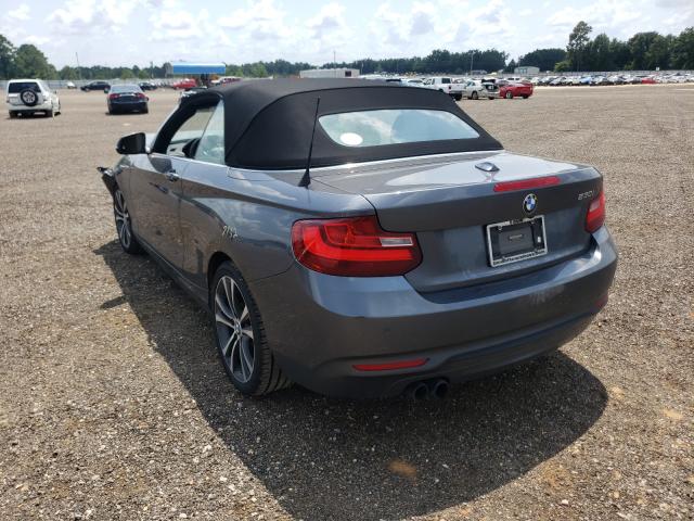 Photo 2 VIN: WBA2K9C31H7A26316 - BMW 230I 