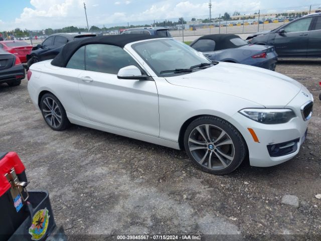 Photo 0 VIN: WBA2K9C33H7A26317 - BMW 230I 