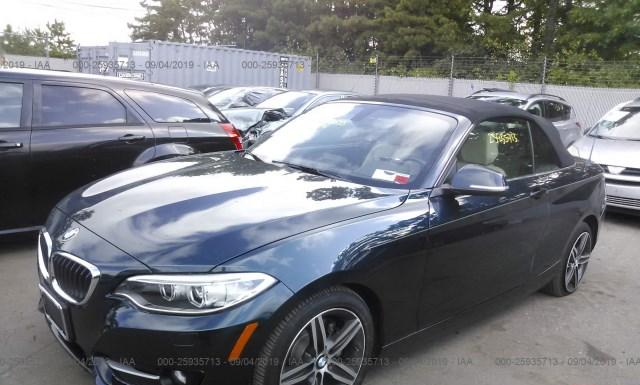 Photo 1 VIN: WBA2K9C34HV647493 - BMW 230I 