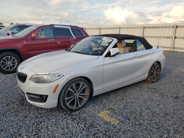 Photo 0 VIN: WBA2K9C57HV646808 - BMW 230I 