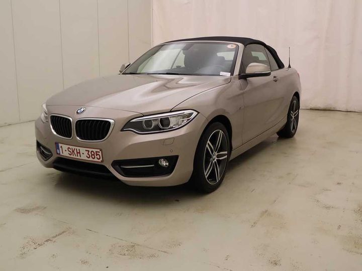 Photo 1 VIN: WBA2L51000V910906 - BMW BMW 2 SERIES 