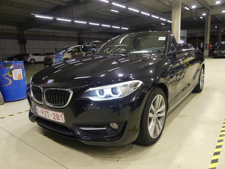 Photo 1 VIN: WBA2L51020V852300 - BMW 2 CABRIO 