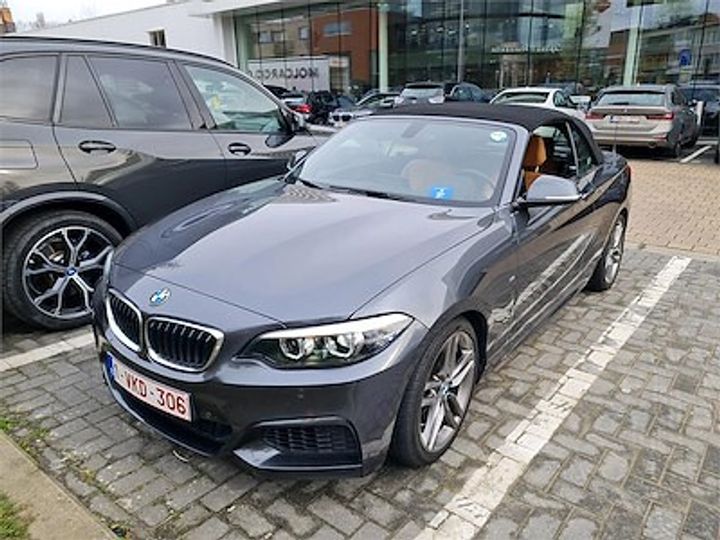 Photo 1 VIN: WBA2M11050VD69800 - BMW 2-SERIE CABRIOLET 