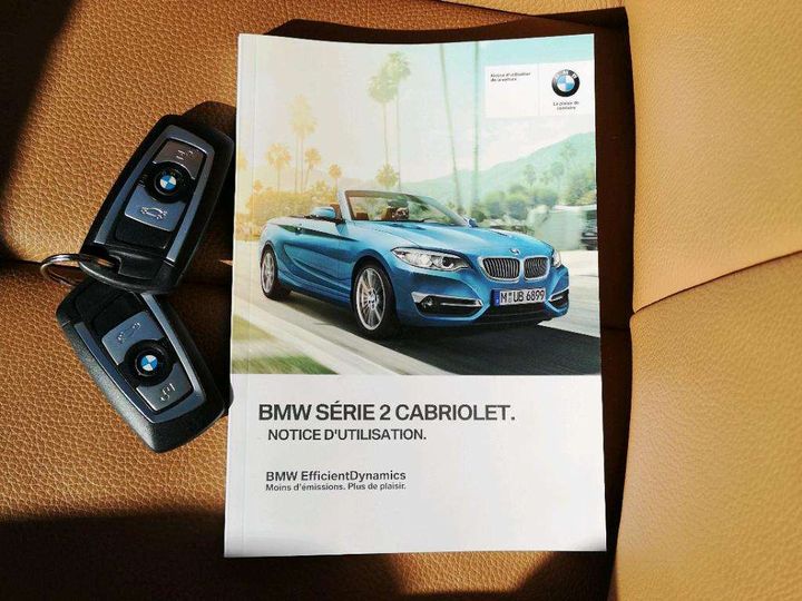 Photo 6 VIN: WBA2N51010VC29859 - BMW SRIE 2 CABRIOLET 