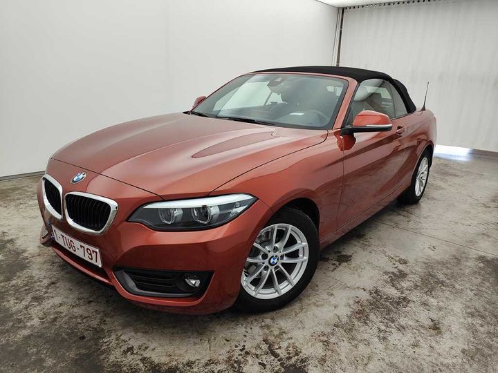 Photo 0 VIN: WBA2N51030VC31371 - BMW 2-SERIE CABRIO &#3917 