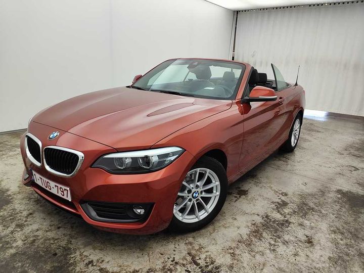 Photo 17 VIN: WBA2N51030VC31371 - BMW 2-SERIE CABRIO &#3917 