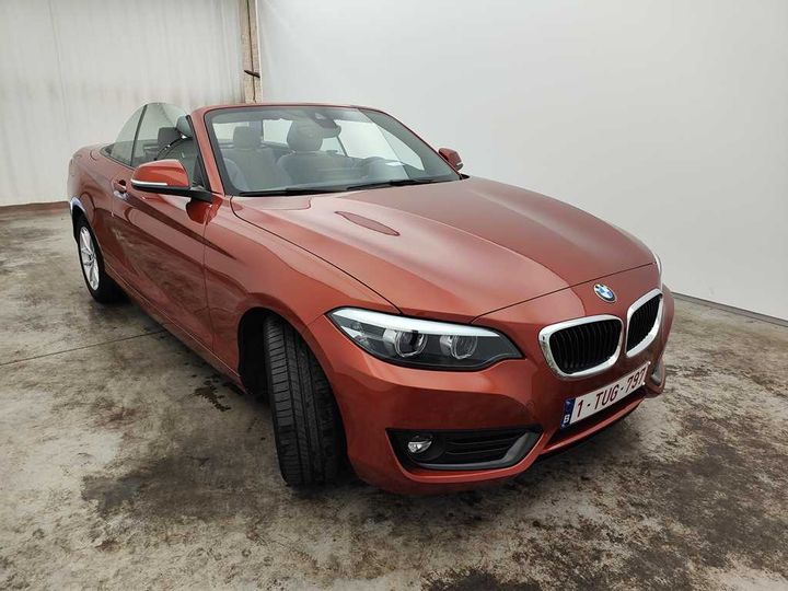 Photo 20 VIN: WBA2N51030VC31371 - BMW 2-SERIE CABRIO &#3917 