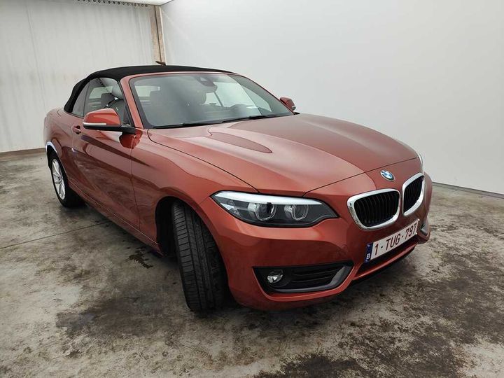 Photo 8 VIN: WBA2N51030VC31371 - BMW 2-SERIE CABRIO &#3917 