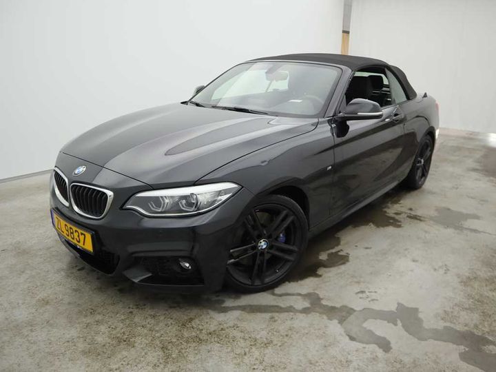 Photo 1 VIN: WBA2N91060VB06386 - BMW 2-SRIE CABRIO 