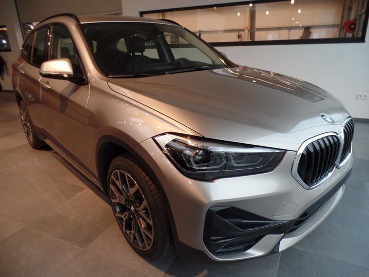 Photo 1 VIN: WBA31AD0905T78375 - BMW X1 