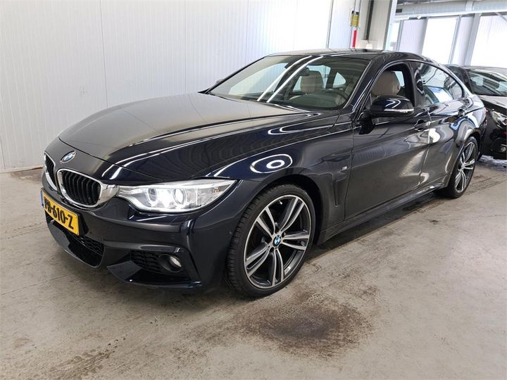 Photo 1 VIN: WBA4D31000G745390 - BMW 420 