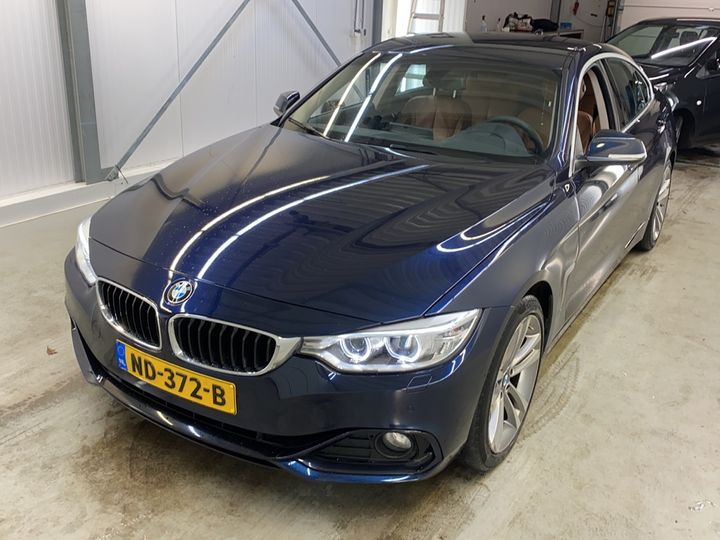 Photo 1 VIN: WBA4D31060G768043 - BMW 420 