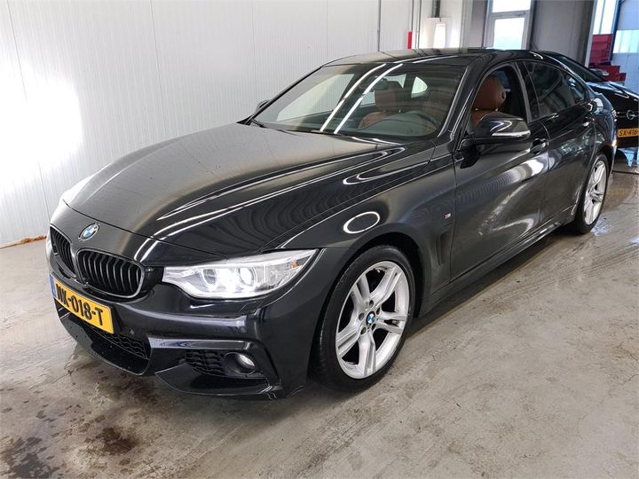 Photo 1 VIN: WBA4D310X0G190979 - BMW 420 