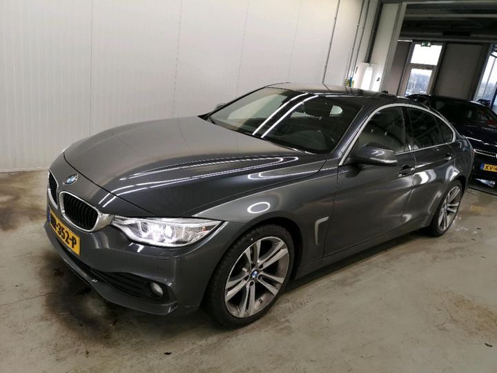 Photo 1 VIN: WBA4E91060G289704 - BMW 420 