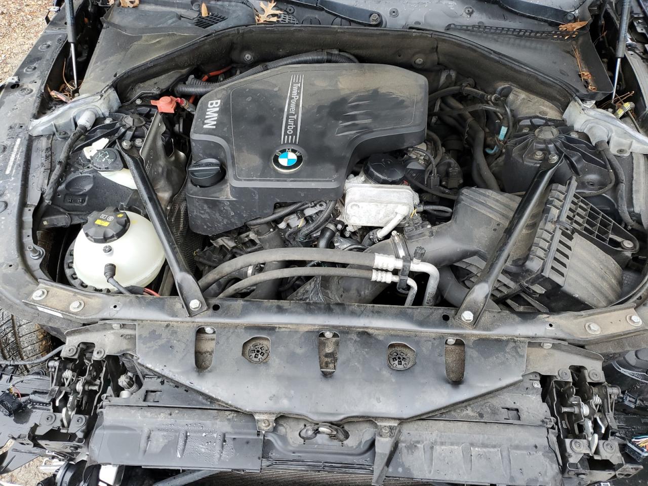 Photo 10 VIN: WBA5A5C58ED509063 - BMW 5ER 