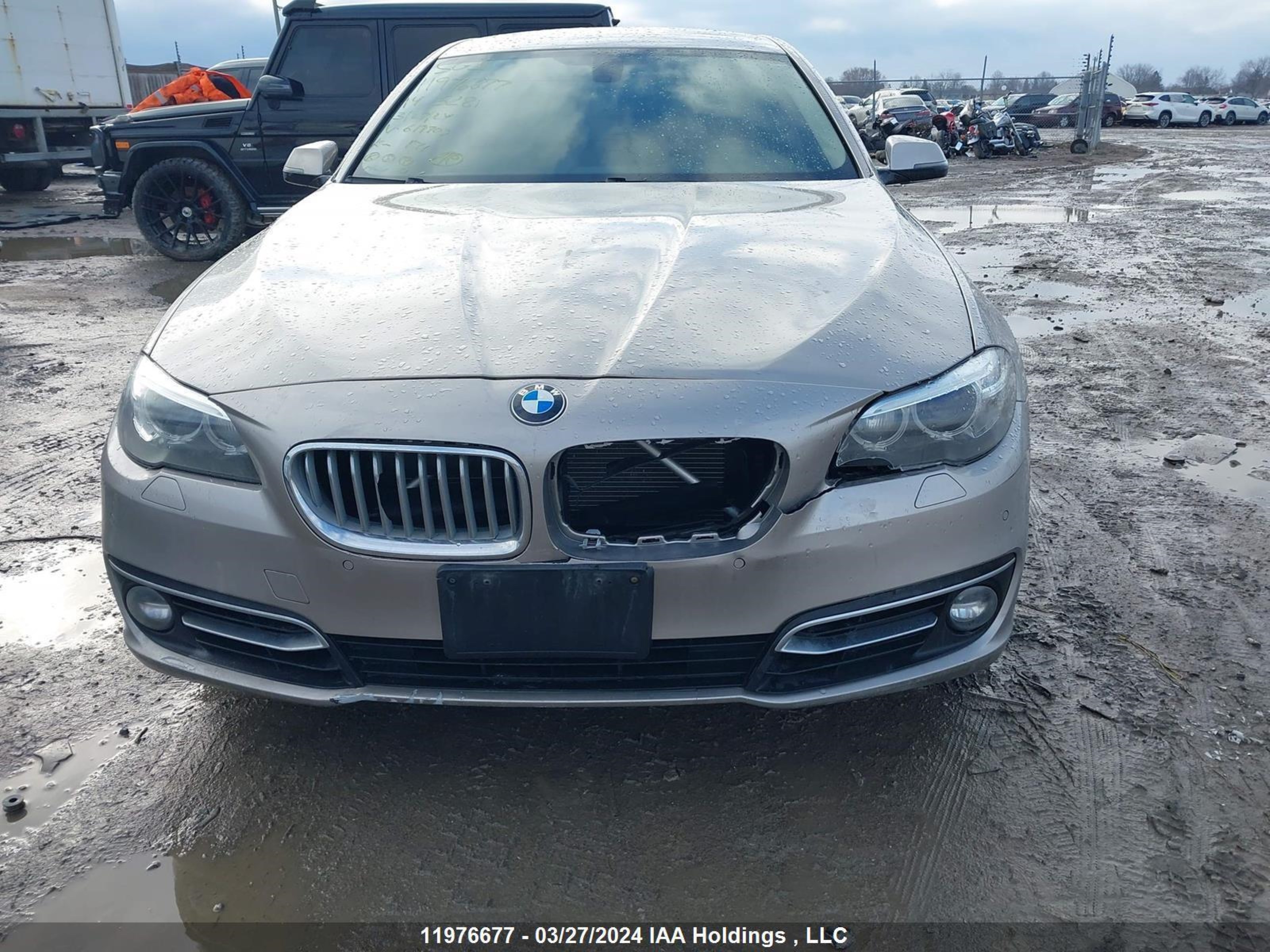 Photo 11 VIN: WBA5A7C55ED617703 - BMW 5ER 