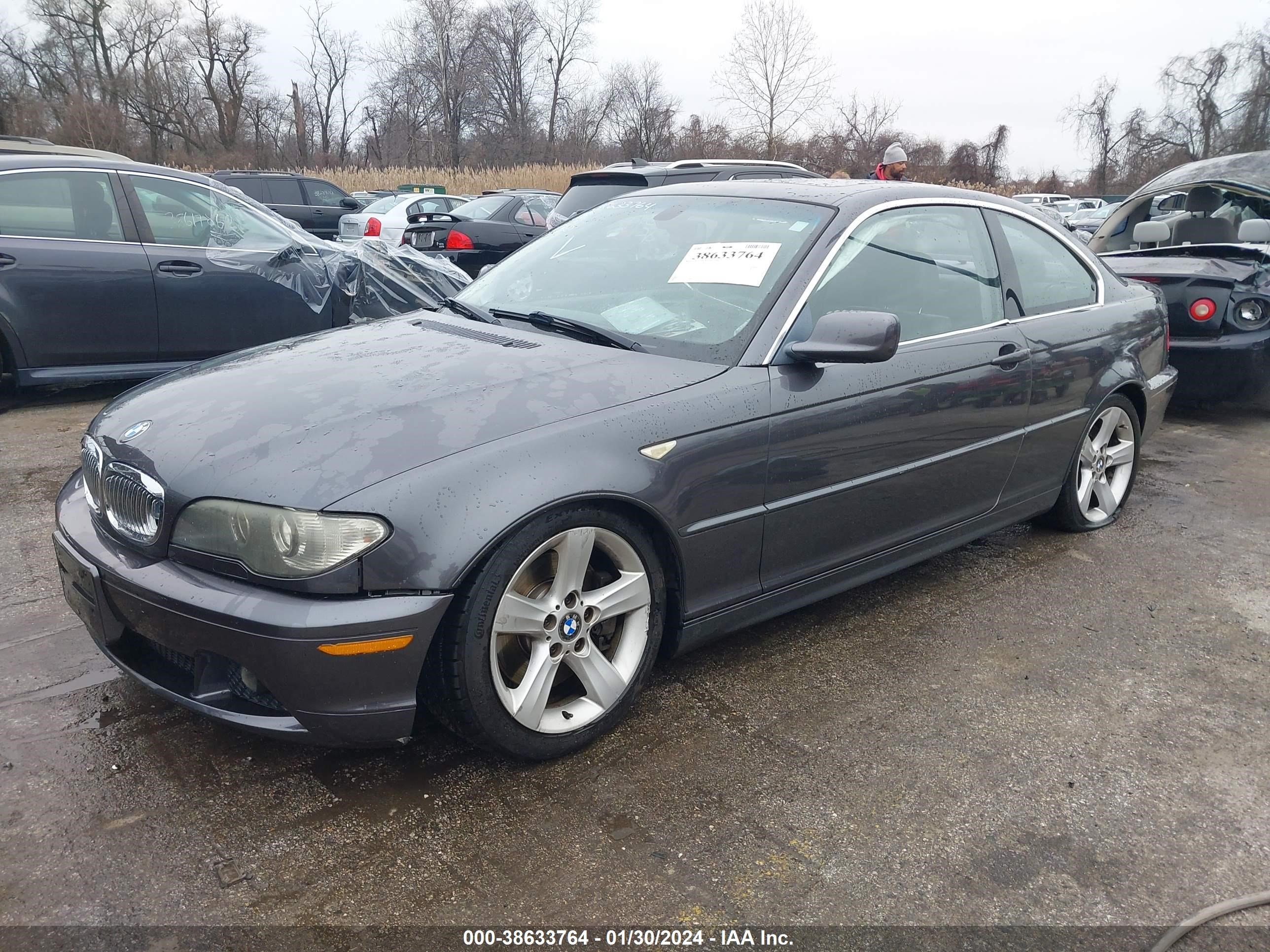 Photo 1 VIN: WBABD53415PL15684 - BMW 3ER 