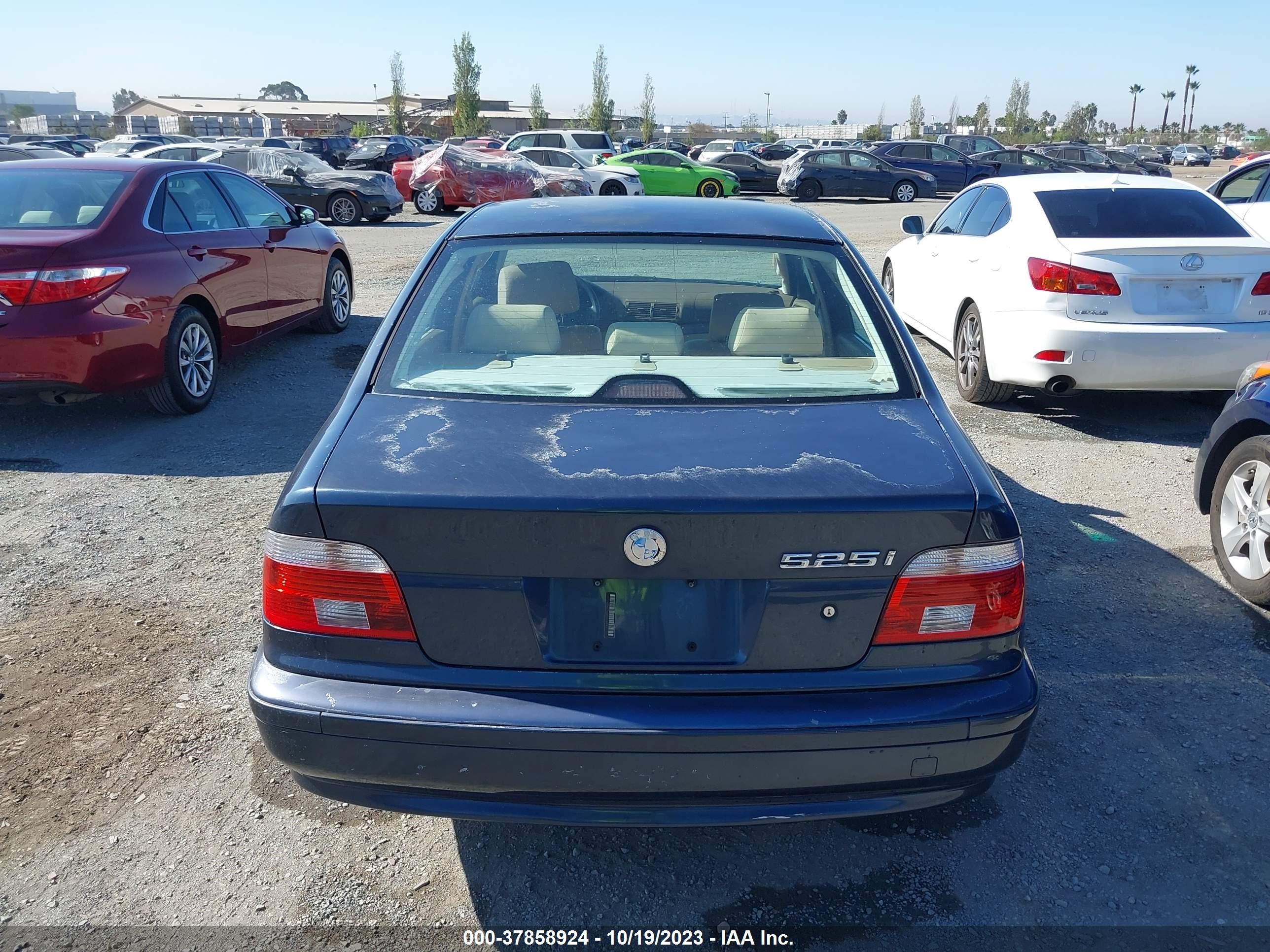 Photo 11 VIN: WBADT43492GY40543 - BMW 5ER 