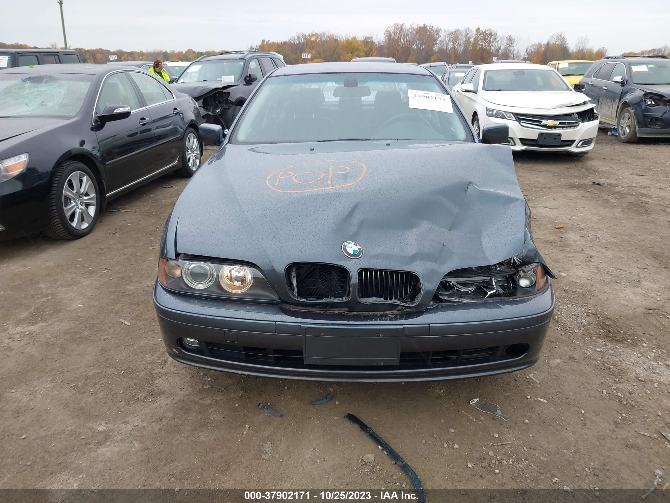 Photo 11 VIN: WBADT63471CF00697 - BMW 5ER 