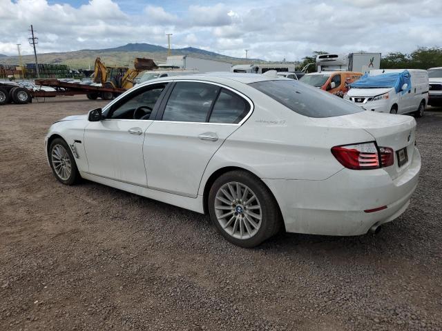 Photo 1 VIN: WBAFZ9C52DD090436 - BMW 5 SERIES 