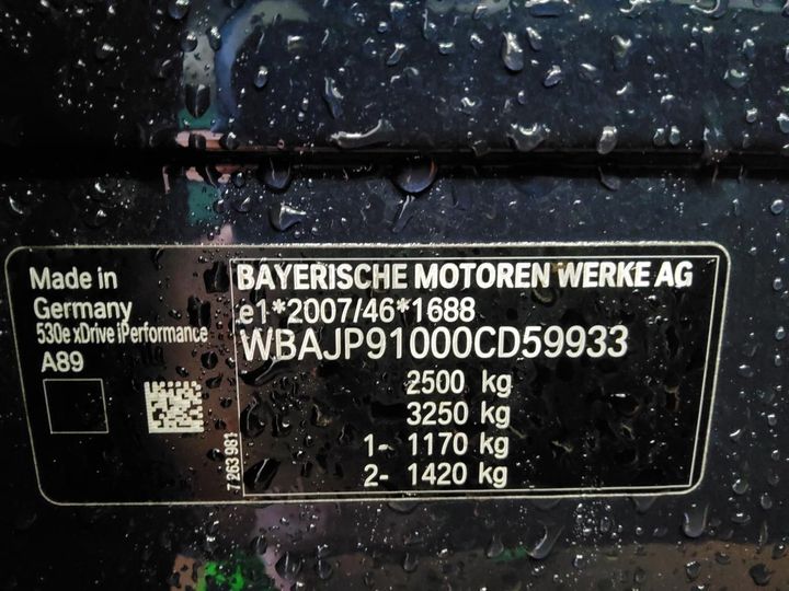 Photo 10 VIN: WBAJP91000CD59933 - BMW 530E 