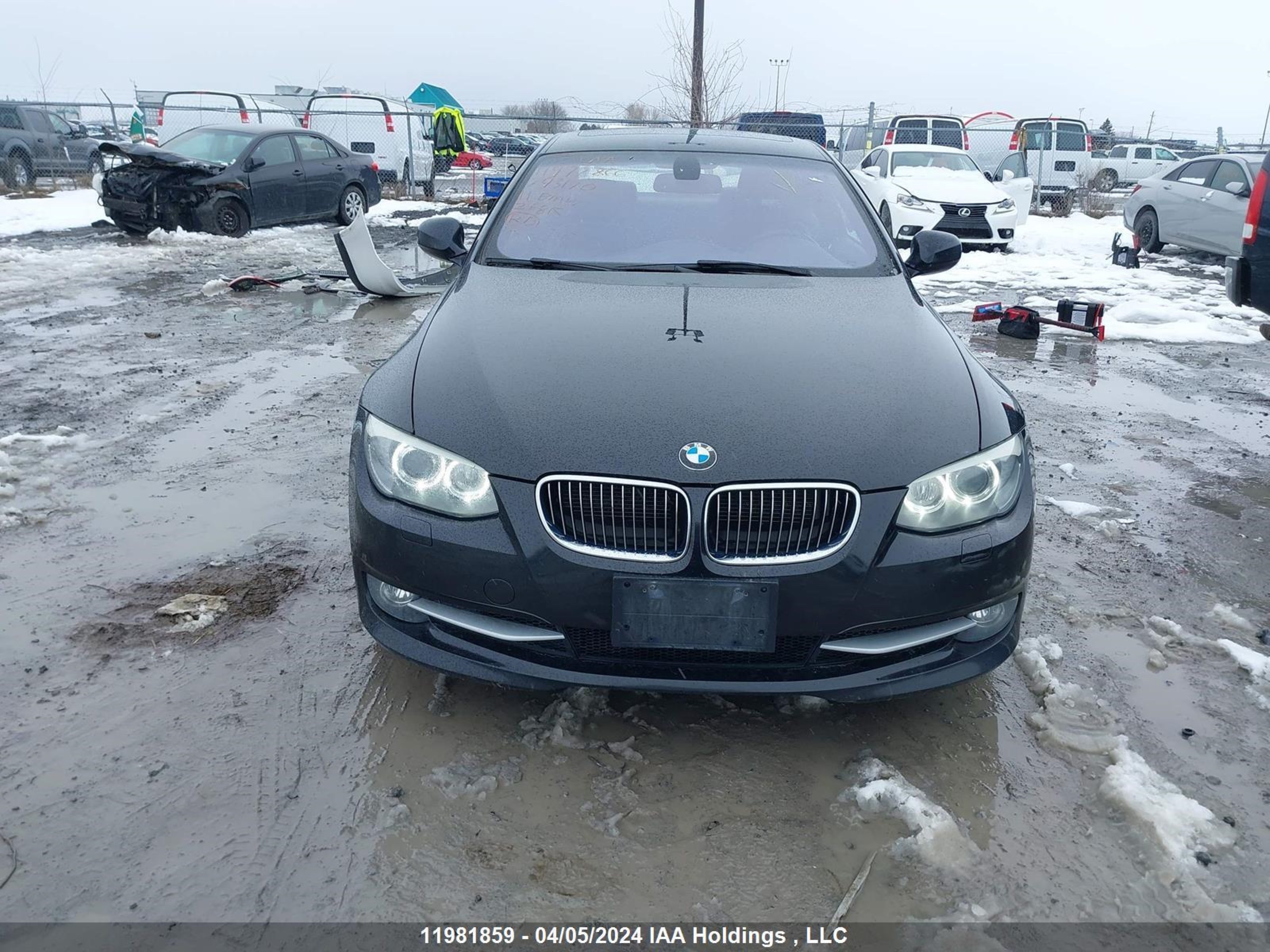 Photo 11 VIN: WBAKF3C55BE793170 - BMW 3ER 