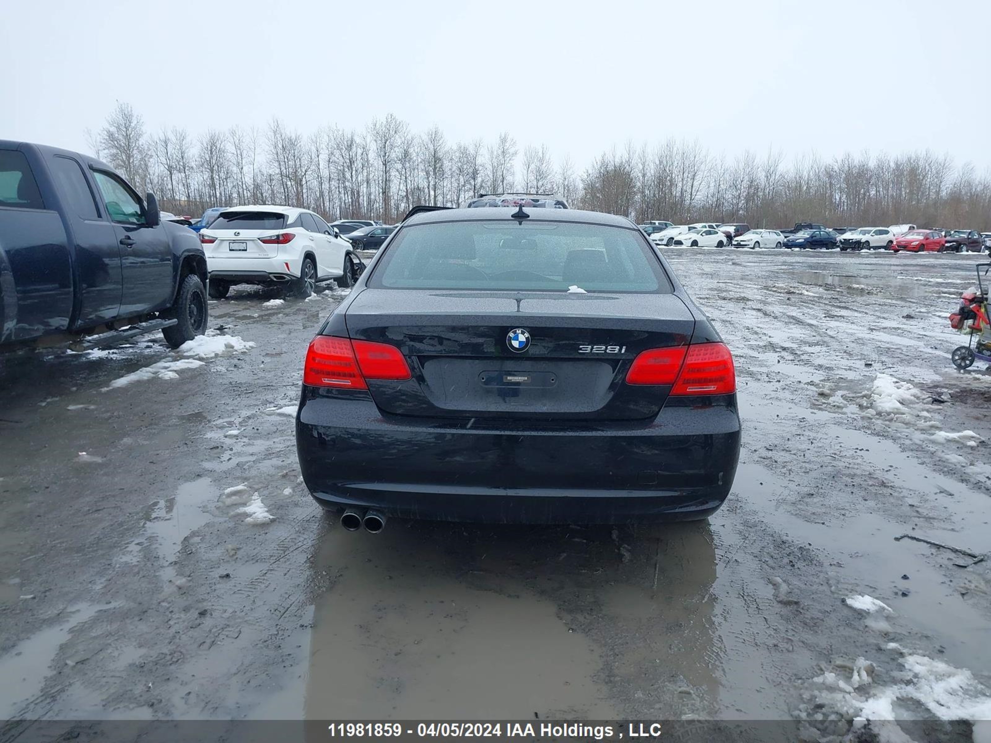 Photo 15 VIN: WBAKF3C55BE793170 - BMW 3ER 