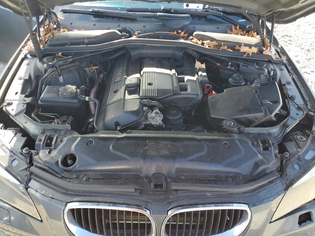 Photo 10 VIN: WBANA73585B814117 - BMW 5ER 