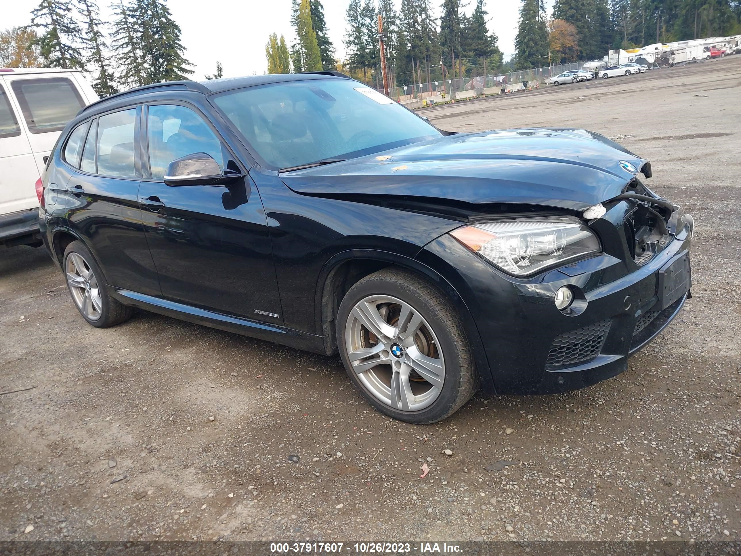 Photo 12 VIN: WBAVM5C53FVV95188 - BMW X1 