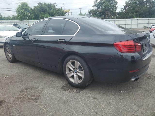 Photo 1 VIN: WBAXH5C5XDDW16294 - BMW 5 SERIES 