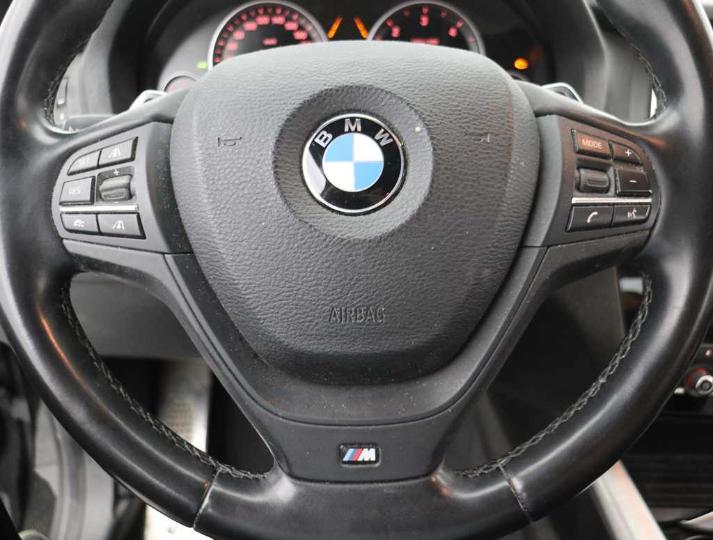 Photo 25 VIN: WBAXX310600P92971 - BMW X4 